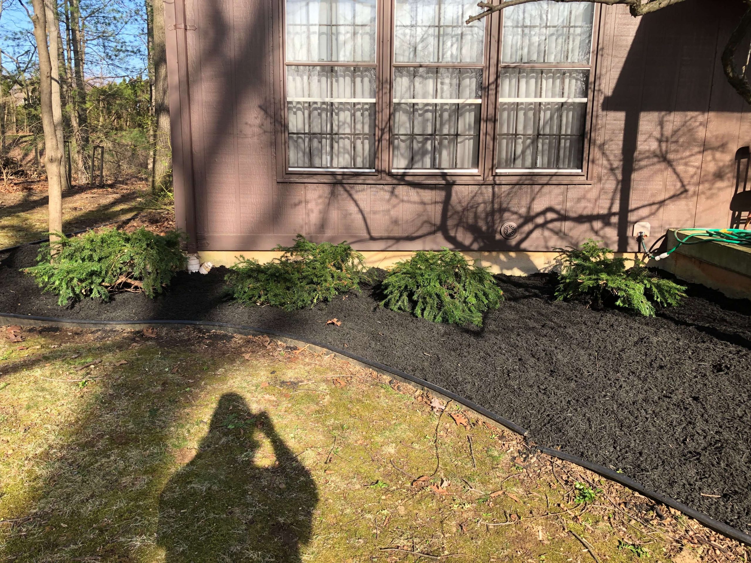 Front home lawn with soil