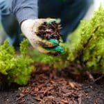 Why Is Mulch Important for Landscaping?