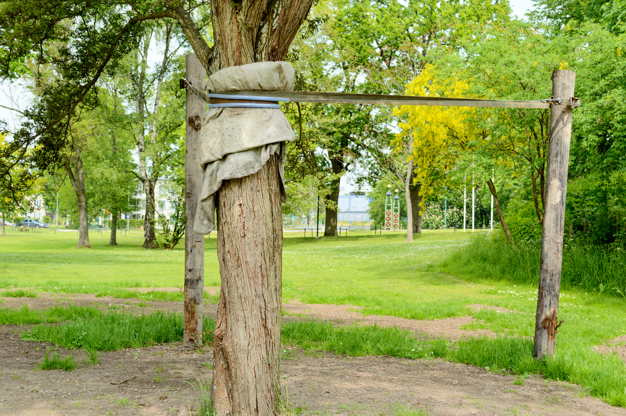 Tree Services Quote- Sticks and Stones Lawn Care | PA